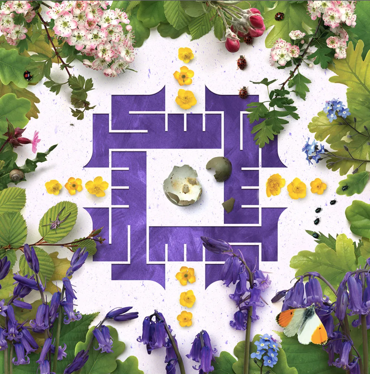 The Case for Gratitude